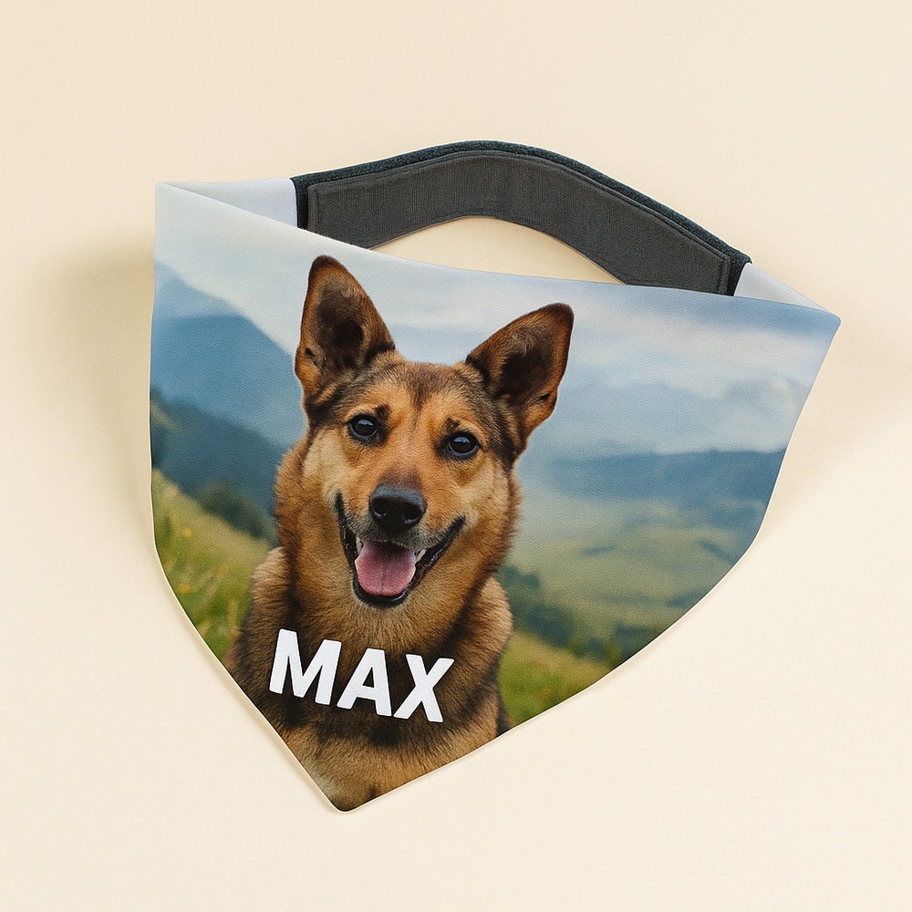 bandana_chien_personnalisable_a_scratch_beige