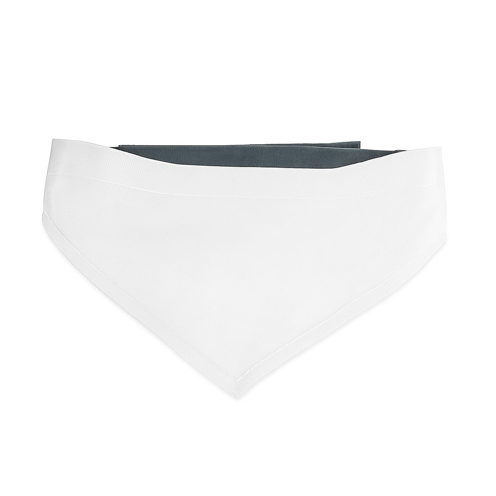 bandana_chien_personnalisable_a_scratch_vierge_face