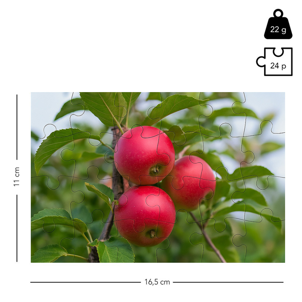 puzzle_photo_24_pieces_format_carte_dimension