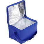 sac_isotherme_compact_pour_canettes_ouvert