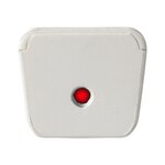 telecommande_presentation_avec_pointeur_laser_avant