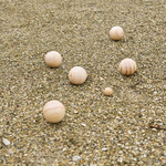 jeu_de_boules_en_bois_ambiance1