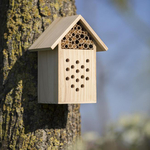 hotel_pour_abeilles_en_bois_ambiance
