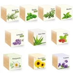 cube_vegetal_en_bois_grave_personnalisable_declinaisons