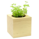 cube_vegetal_en_bois_grave_personnalisable_cressons