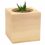 cube_vegetal_en_bois_grave_personnalisable_vierge