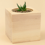 cube_vegetal_en_bois_grave_personnalisable_vierge_beige