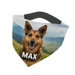 bandana_chien_personnalisable_a_scratch