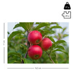 puzzle_photo_24_pieces_format_carte_dimension
