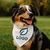 bandana_chien_personnalisable_a_scratch_logo_ambiance