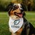 bandana-chien-personnalisable-a-scratch-logo-ambiance