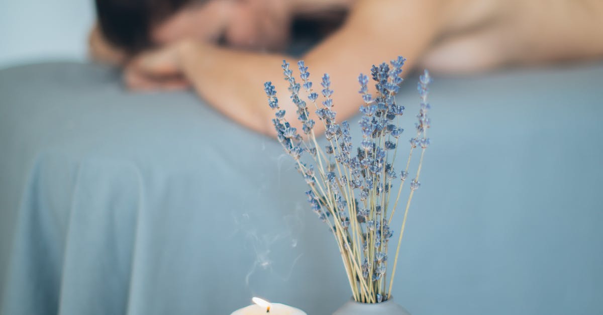 photos gratuites de interieur apaisant aromatherapie