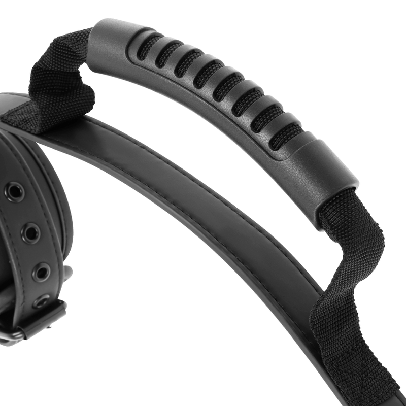 img_95003_e985feb41f5f4ad68083dccf3b83bc7e_1
