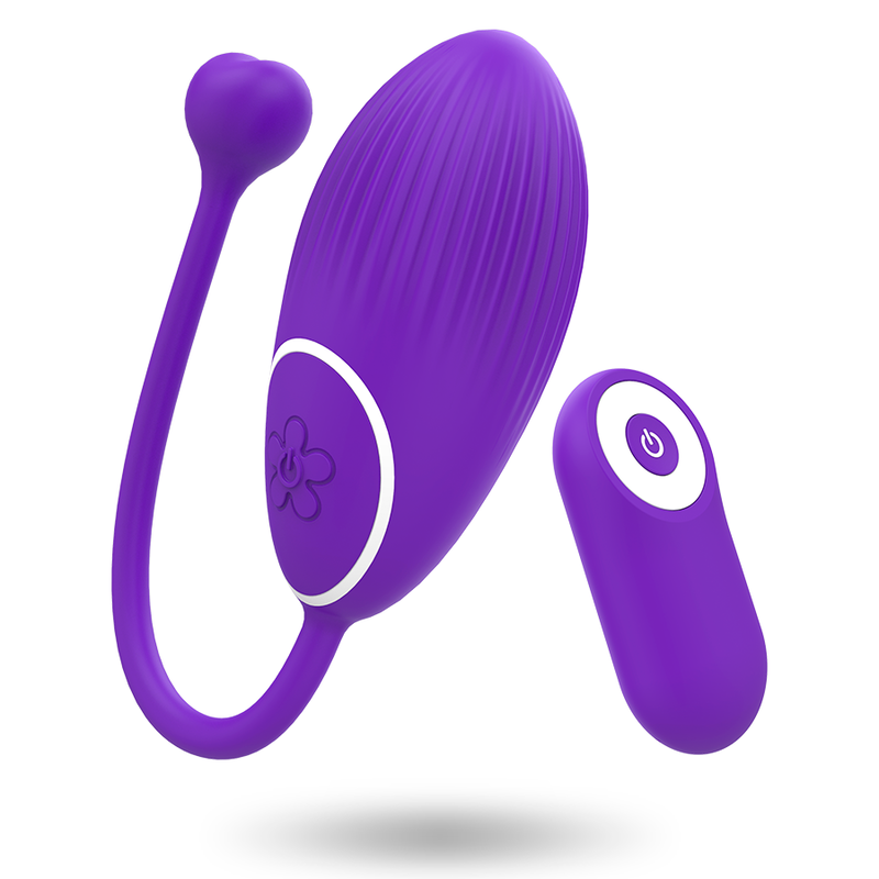 Œuf vibrant et télécommande