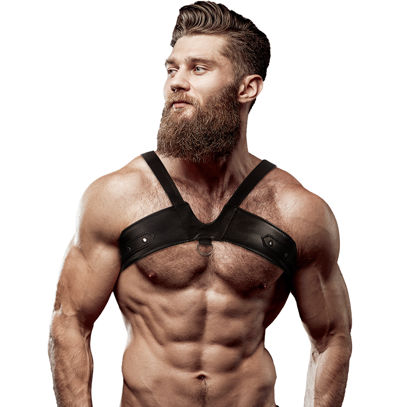 Harnais de poitrine homme BDSM Brigade