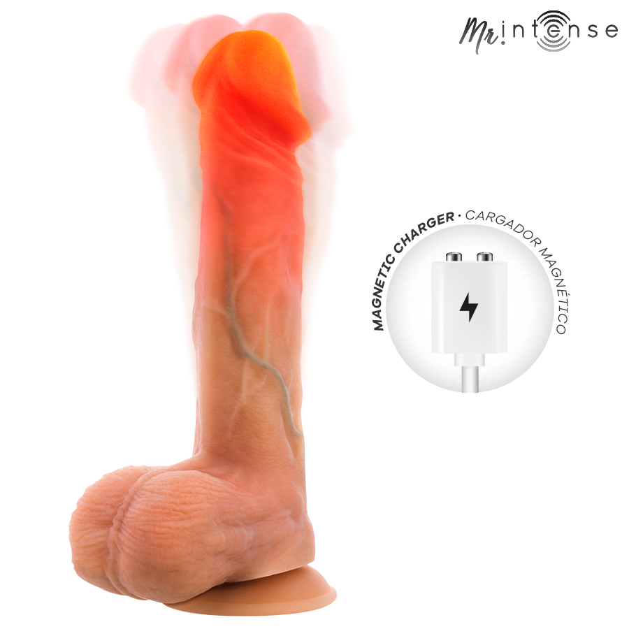 Gode réaliste rechargeable