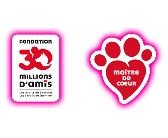 30 millions d amis maitre de coeur png