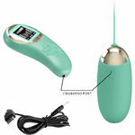 Oeuf vibrant rechargeable