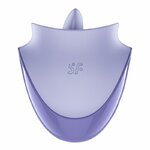 Stimulateur clitoridien