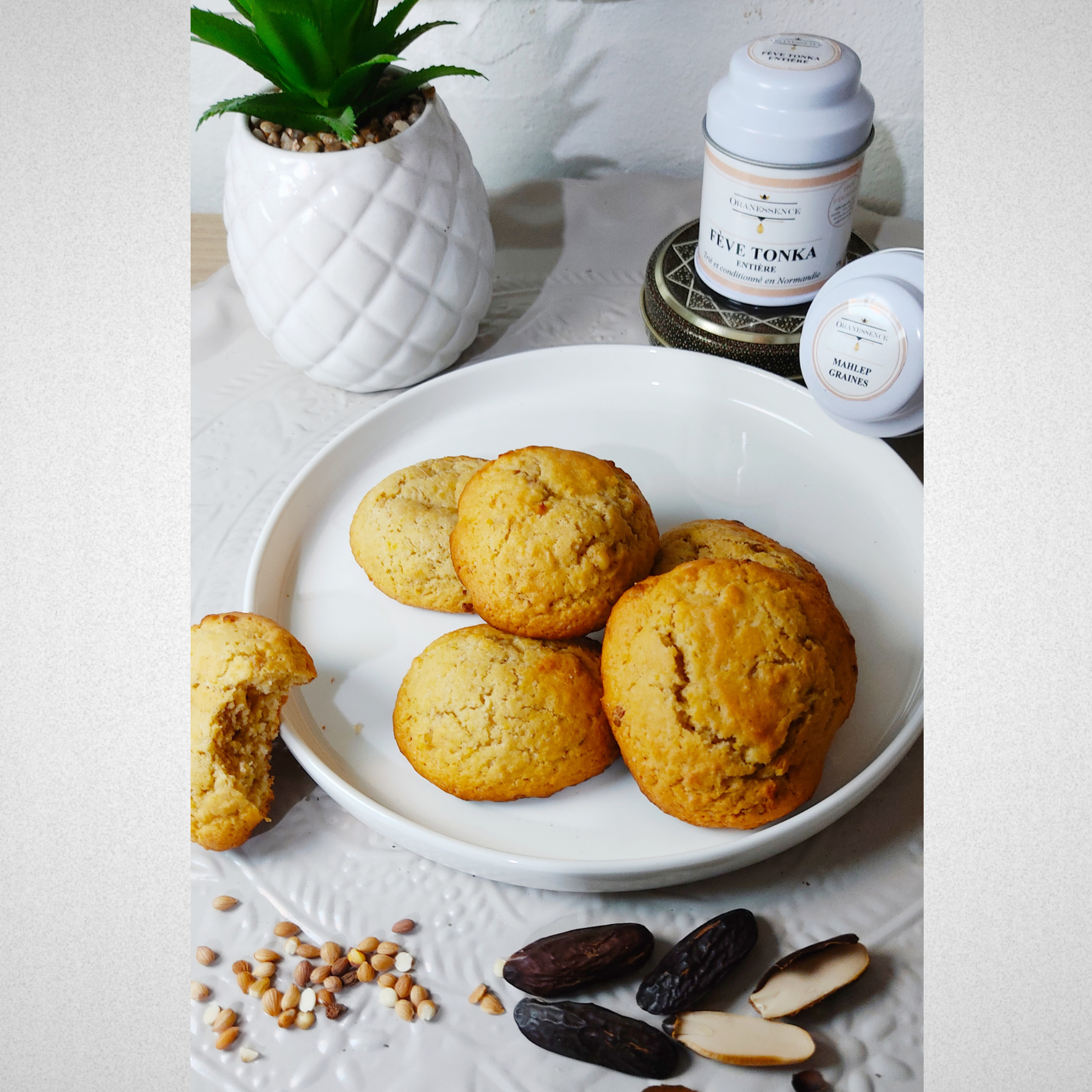 (COPY) (COPY) Newsletter 21x29.7 cm - Post Instagram (29)