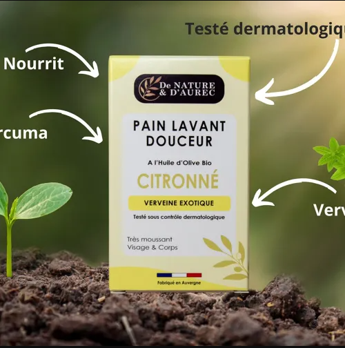 savon le citronne