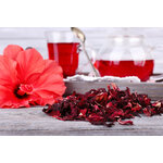 la-fleur-d-hibiscus