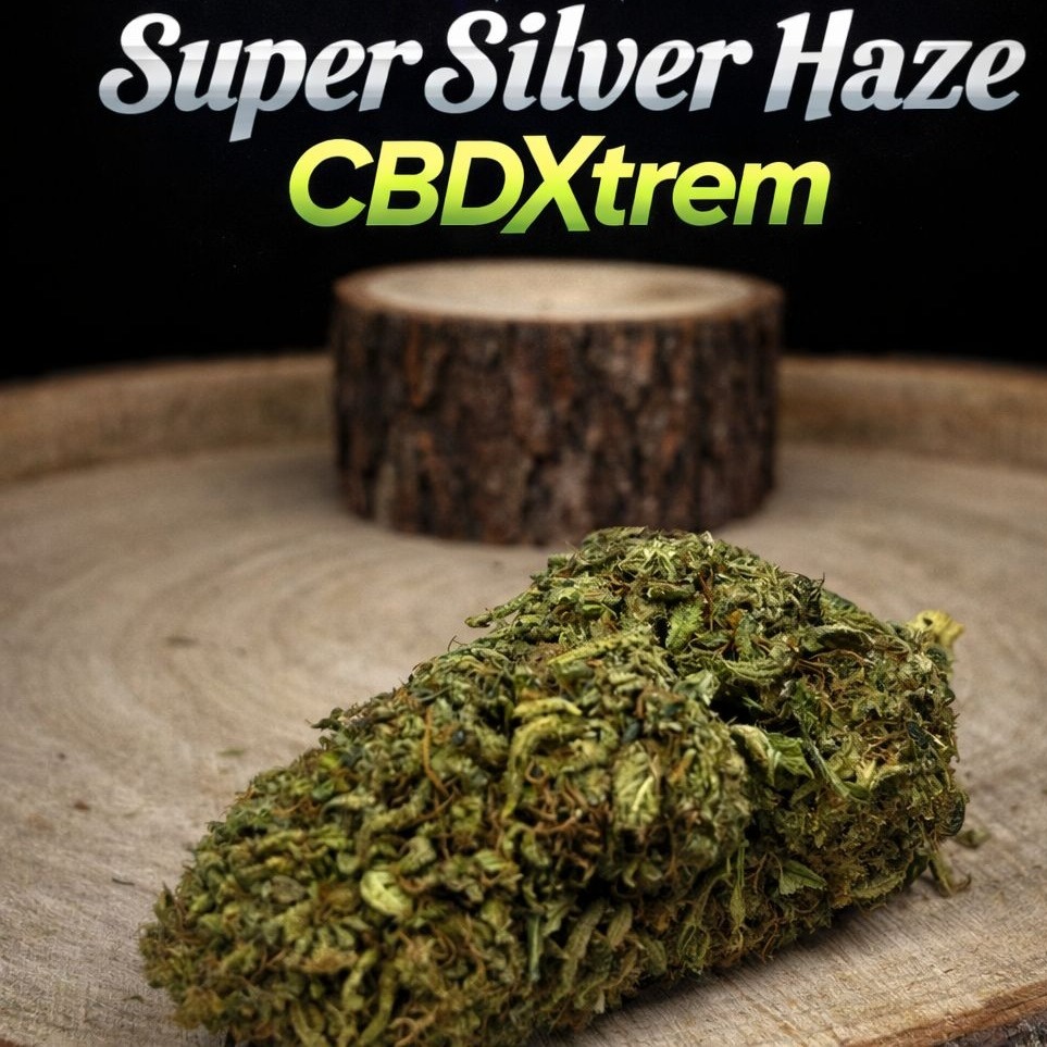 super silver haze cbdx