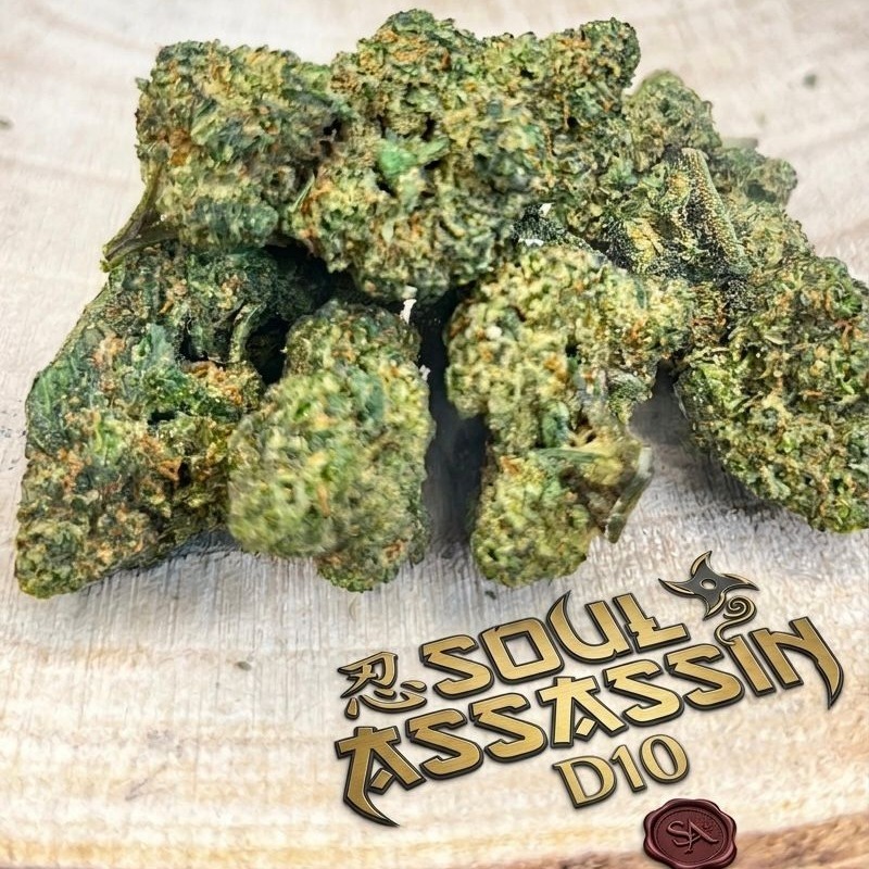 soul assassin d10