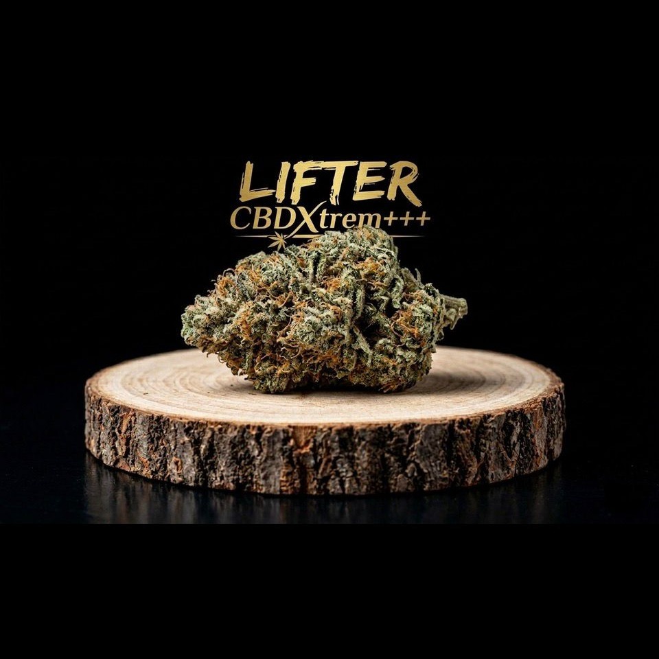 lifter cbdx+++