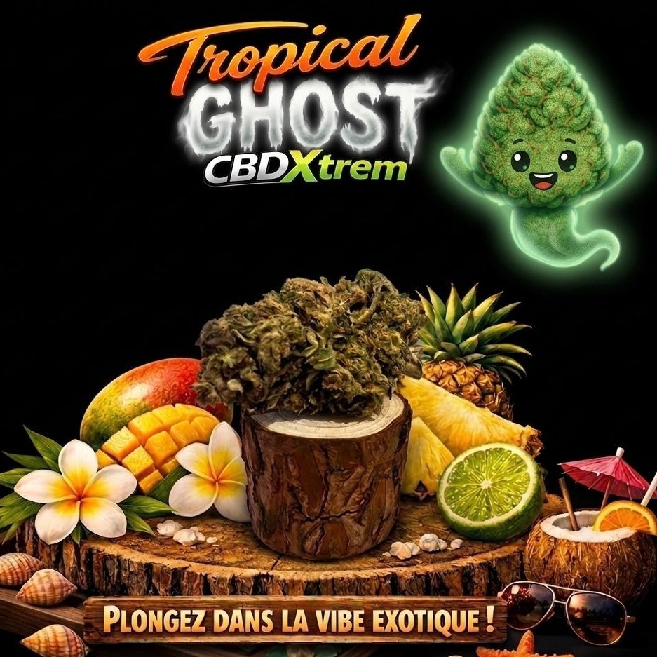 tropical ghost cbdxtrem