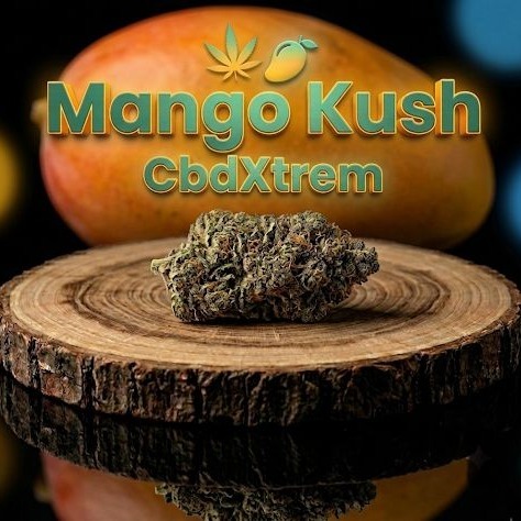 mangoKush CbdXtrem