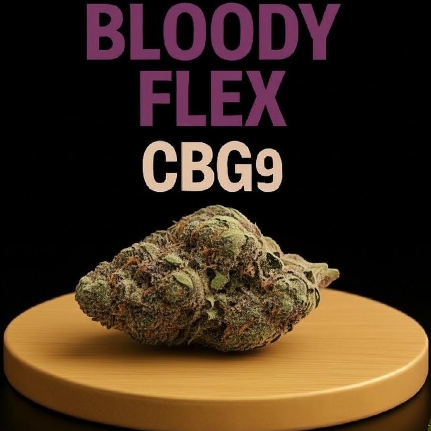 bloody flex wizi