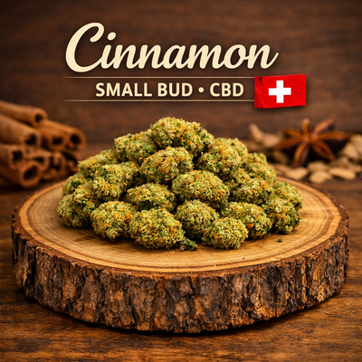 cinnamon cbd