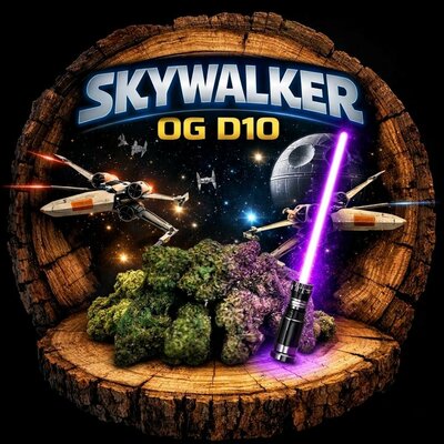 skywalker D10