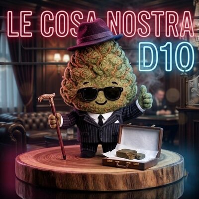 le cosa nostra d10