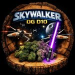 skywalker D10