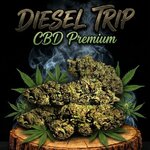 diesel trip cbd