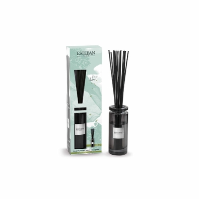 bouquet-parfume-initial-100ml (1)