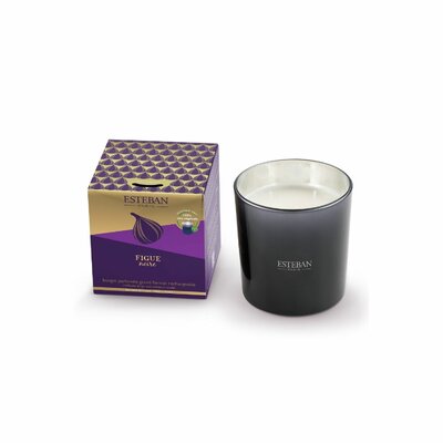 bougie-parfumee-figue-noire-rechargeable-450g
