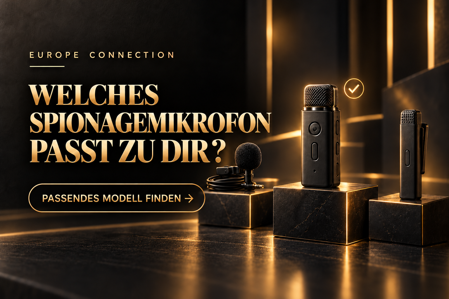 WELCHES SPIONAGEMIKROFON PASST ZU DIR?
