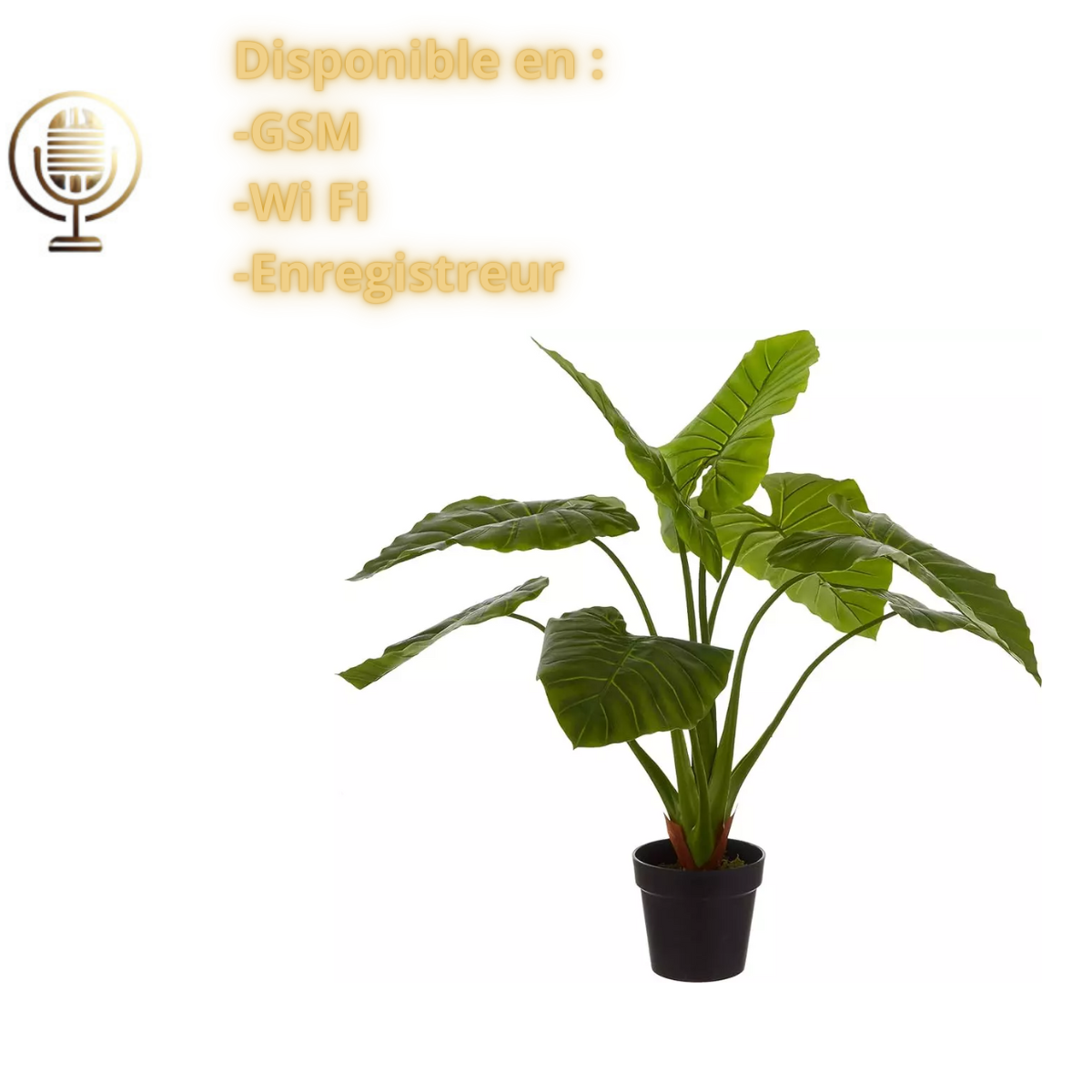 Plante Microphone Espion