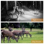 Skatolly-HC300M-cam-ra-de-Chasse-GSM-12MP-1080P-Photo-pi-ges-Vision-nocturne-faune-infrarouge