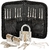 Kit de crochetage et cadenas d'entrainement