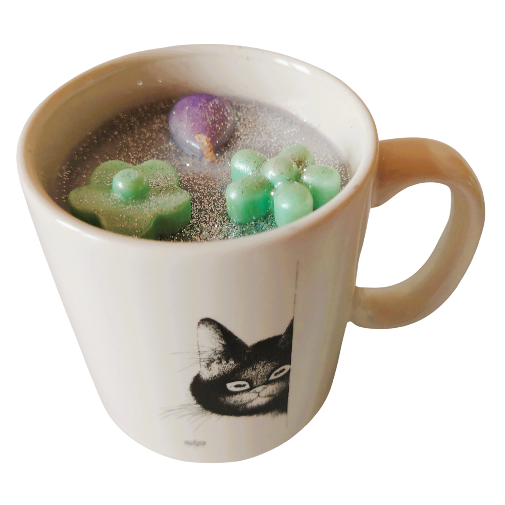 Chat caché (14)-éclipse de lune 1-2
