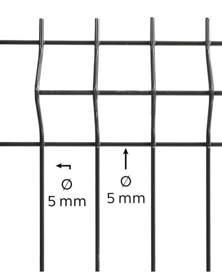 pan 5 5