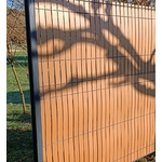 panorama-bois-clair
