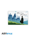 Aimant Harry Potter
