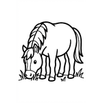 Cheval qui mange de l’herbe dans un champ