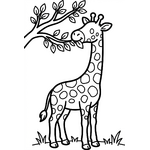 Girafe qui mange des feuilles