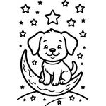 Chiot sous un ciel étoilé (1)